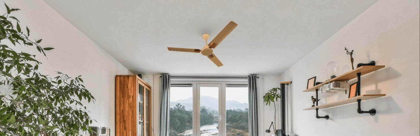 Ceiling Fans